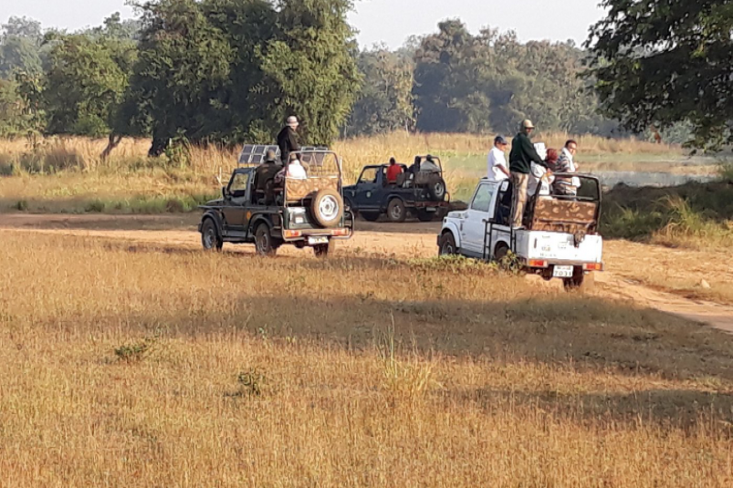 Tadoba Resort booking